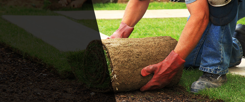 Grimesland Landscapers
